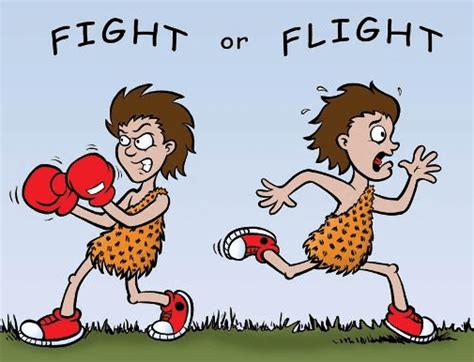 Fight or flight chemical Word Hike .